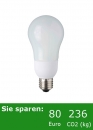 energiesparlampe energiesparlampen 090607/00